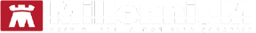 logo-millewin